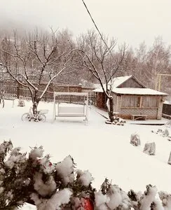 Домик в горах — фотография отеля